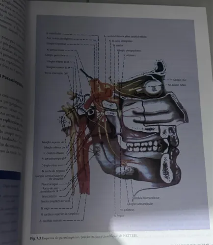 Anatomia humana sistêmica e segmentar Edição Português | 3ª Edição