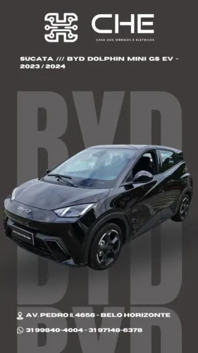 sucata byd mini dolphin