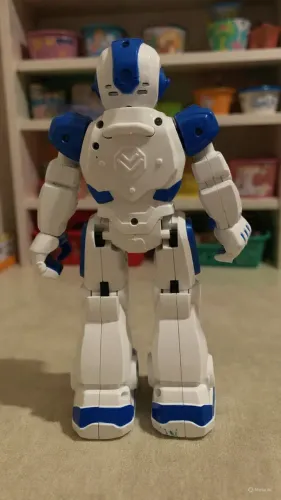Smart Robot induction Robot