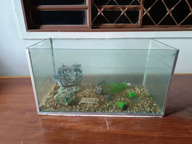 Aquário de 70 litros 