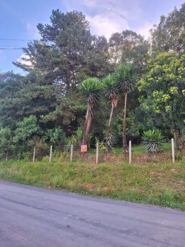 TERRENO URBANO à VENDA em CANOINHAS- SC - Quase 7.000,00 m²!