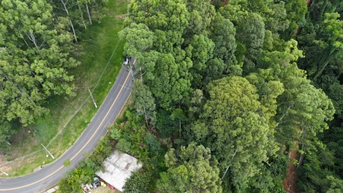 TERRENO A VENDA - TAMBORÉ