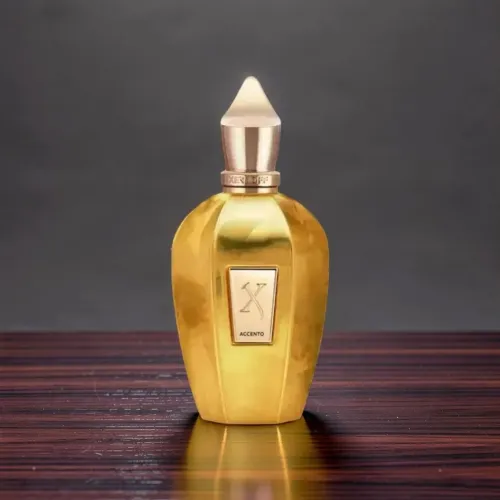 Perfume Xerjoff Overdose 100ml