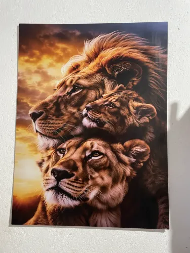 Quadrado