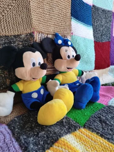 Mickey e Mine Cores da Copa