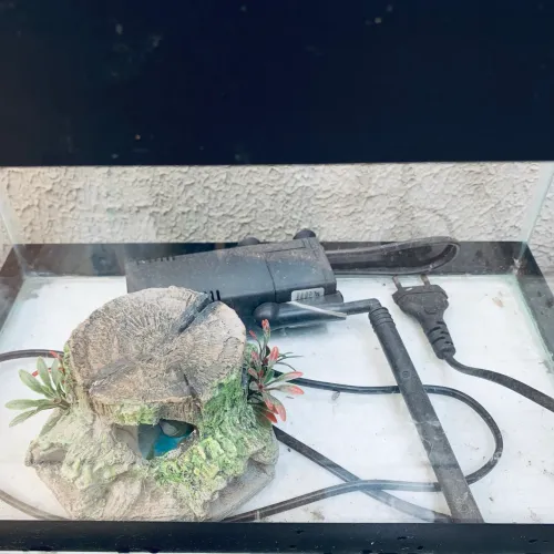 Aquario 12l