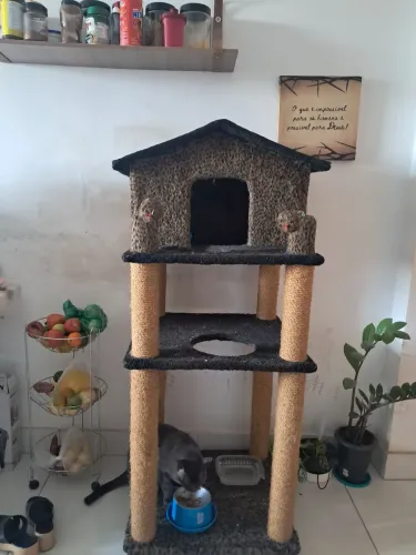 Casa de gato .