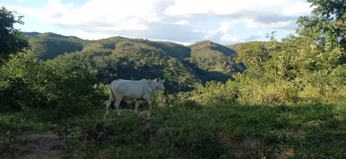 fazenda escriturada terra cultura Fercal troca 135 hectares lagoa aptidão criação turismo