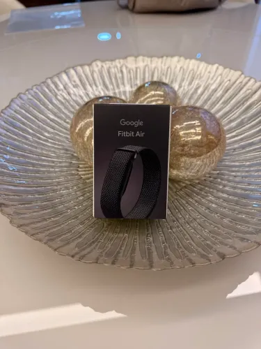 FITBIT AIR GOOGLE