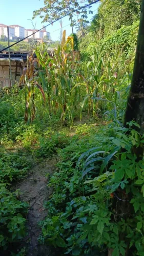 OPORTUNIDADE: Vendo terreno de 65m² em Colinas de Periperi