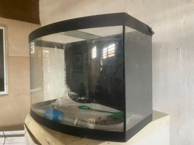 Aquário curvo 100L