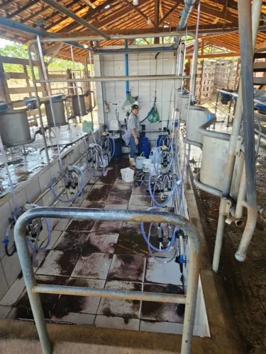 Fazenda 130 Hectares, Formada na região de Felixlândia, MG.