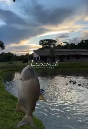 Chácara de 1 Alqueire | Próximo a Trindade | Represa e tanque de peixes!