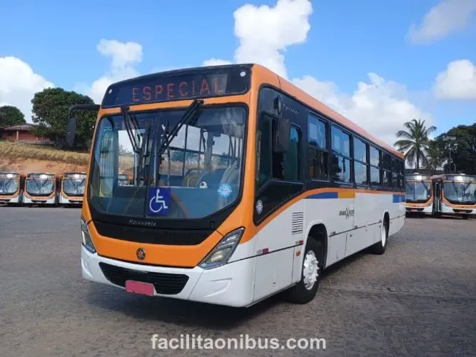 Marcopolo Torino / VW 17.230 - 2017