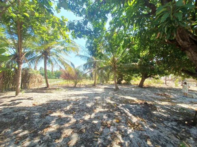 Terreno 10x40 (400m²) no Siupé / São Gonçalo do Amarante
