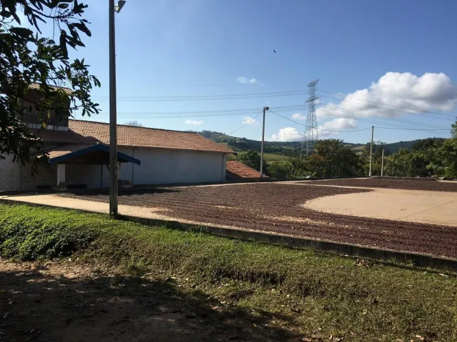 Sítio 20 Alqueires, Rico em Água com Açudes e Ribeirão, 105 Mil Pés de Café, Barracão, 4 C