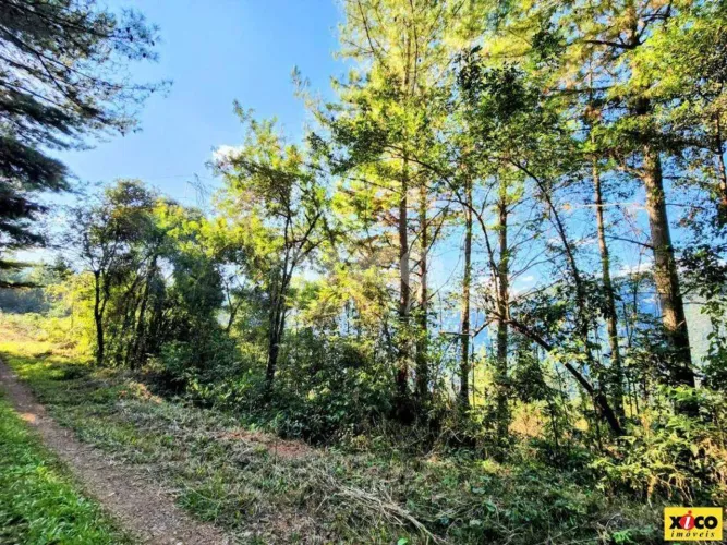 SÍTIO / CHÁCARA PARA VENDA EM NOVA PETRÓPOLIS / RS NO BAIRRO LINHA RIACHUELO