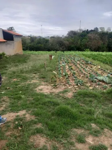 Terreno à venda, 2586 m² por R$ 318.000 - Douradinho - Piedade/SP
