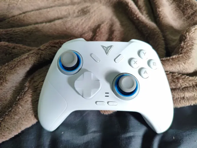controle flydigi direwolf