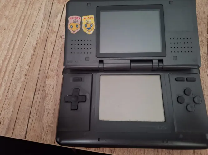 NINTENDO DS