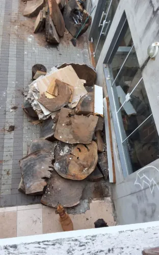 Doação de madeiras brutas