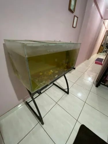 Aquário 90 litros