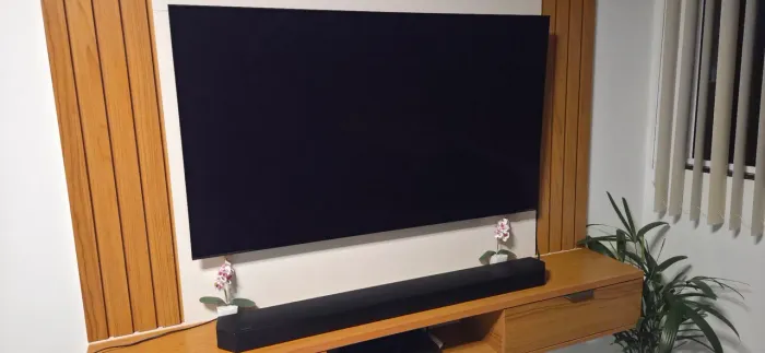 TV Samsung S90D OLED (QD-OLED) 144hz Nvidia G-Sync / AMD FreeSync