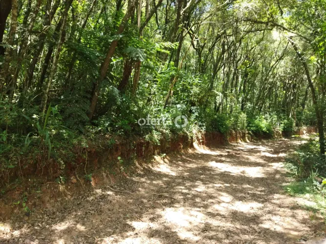 Chácara em Araucária / Rio Verde