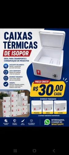 Caixas térmicas. 30 reais cada