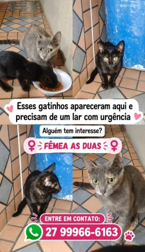 Doação