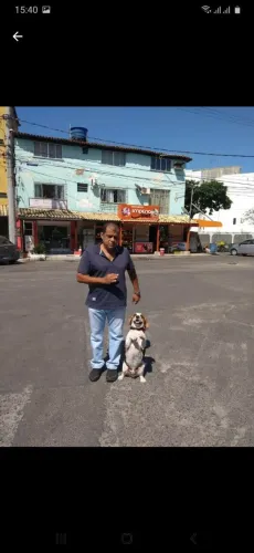 Adestramento de cães 