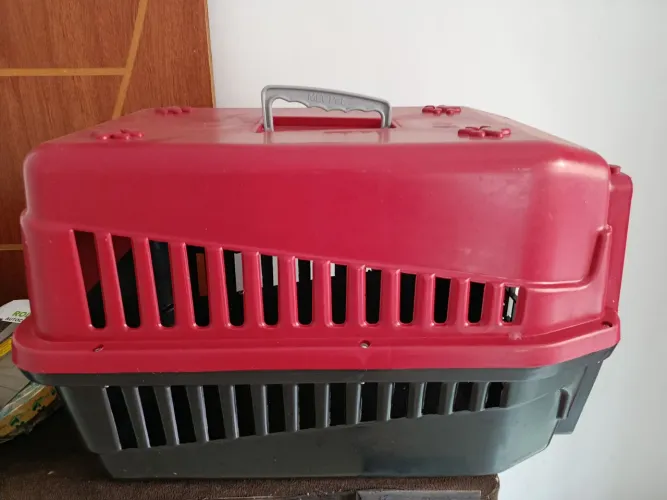 Caixa de transporte para cachorro, número 5, nova.