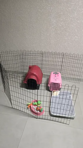 Kit Pet