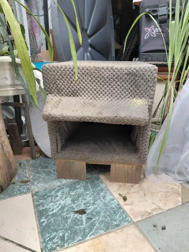 Casa de gato