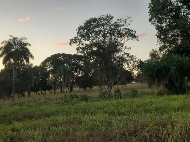 VENDO SÍTÍO DE 27 HECTARES NA REGÍÃO DE FORMOSA GOÍÁS