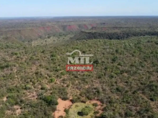 Fazenda no Sul do Maranhão. 7.660 Hectares (Dupla Aptidão).