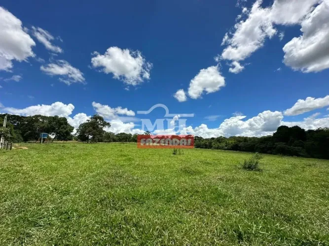 Chácara 5 alqueires (24,2 hectares ) Luziânia - GO