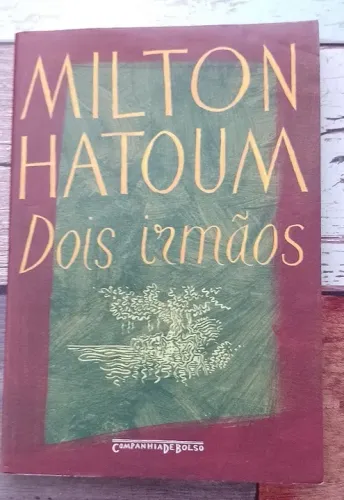 Dois Irmãos - Milton Hatoum (usado, em ótimo estado de conservação)