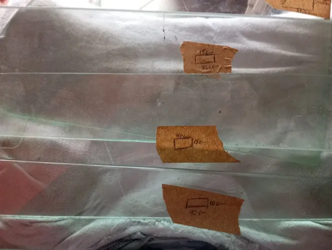 4 prateleira seVidros