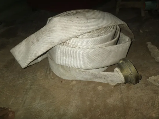 Vendo. Moto bomba com mangueira 