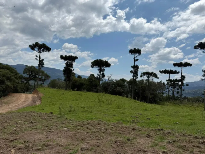 Terreno com 3,73 hectares localizada em Urubici/SC