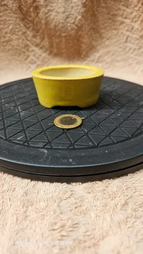 Vaso bonsai Mini Onodera Cerâmica Alta temperatura Amarelo