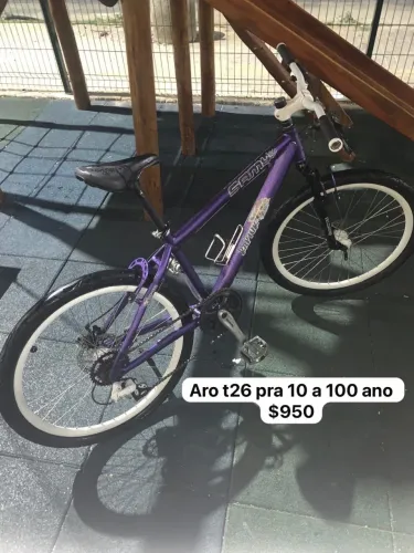 Bicicleta 