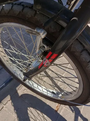 Bicicleta de carga
