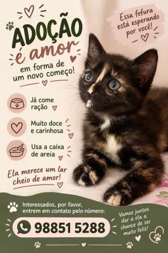 Adoção