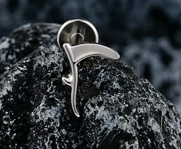 Piercing de Titânio 