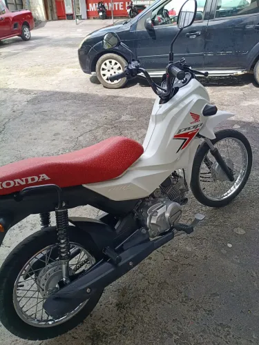 Único dono