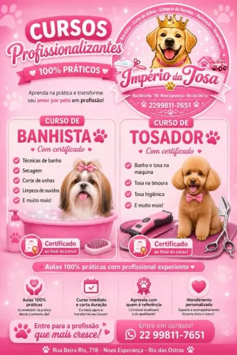 Curso banho e tosa