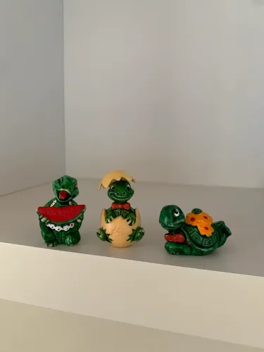 Kinder tartarugas