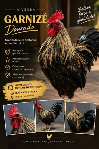 Dourado